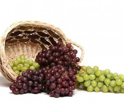 Вибір найсмачніших сортів винограду
