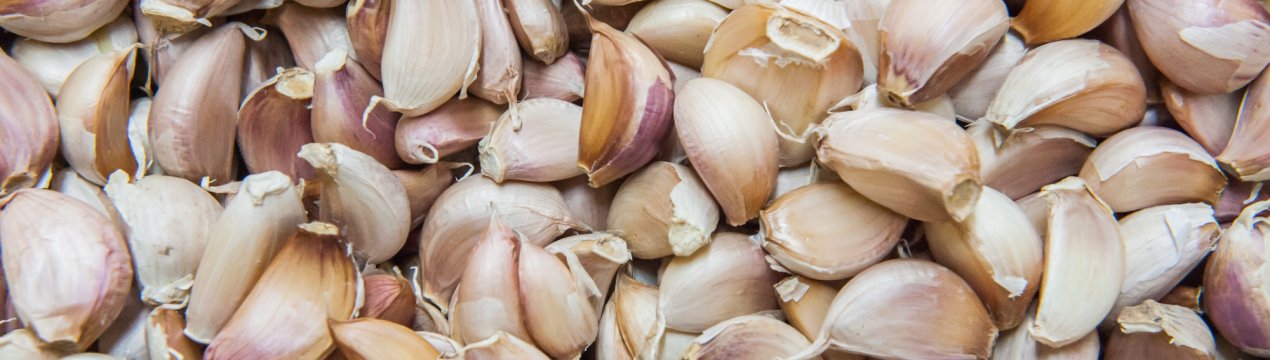 Ставропольські фермери підкорили «часникові висоти»