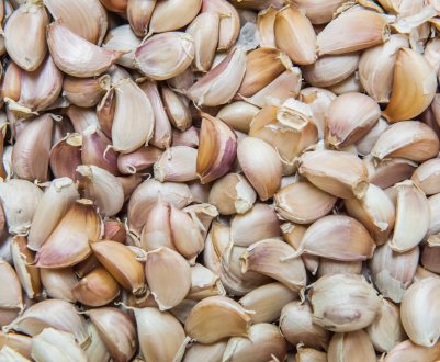 Ставропольські фермери підкорили «часникові висоти»