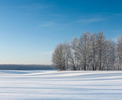 Прихильна зима для озимих