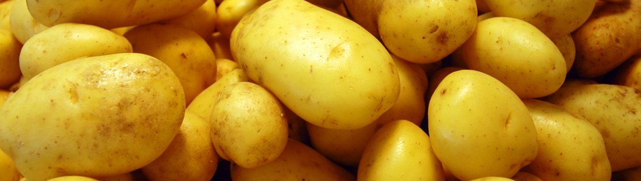 До Місяця і назад: китайські фермери освоюють космос