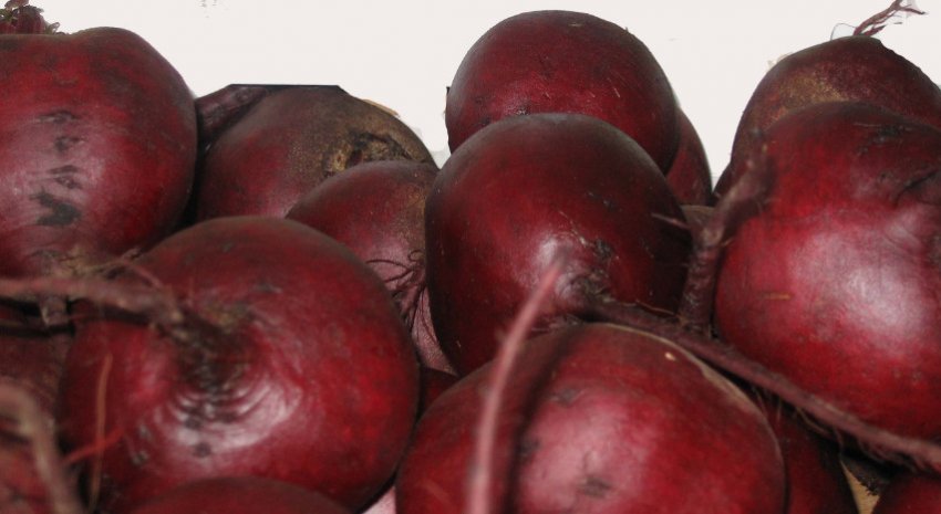 Буряк Бояриня