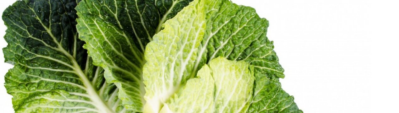 Капустяний лист: від чого допомагає, як використовувати в лікувальних цілях