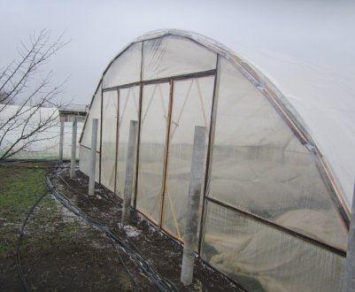  Як правильно натягнути плівку на теплицю: особливості, основні способи