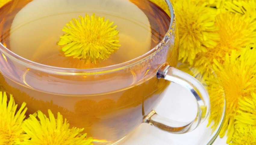 Настій кульбаби