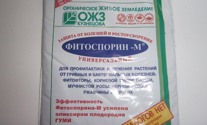 Чем обработать землю в парнике на зиму. Смотреть фото Чем обработать землю в парнике на зиму. Смотреть картинку Чем обработать землю в парнике на зиму. Картинка про Чем обработать землю в парнике на зиму. Фото Чем обработать землю в парнике на зиму