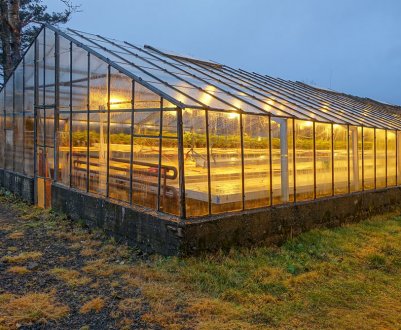 Як зробити цілорічну теплицю своїми руками?