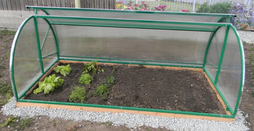 Міні-теплиці з полікарбонату