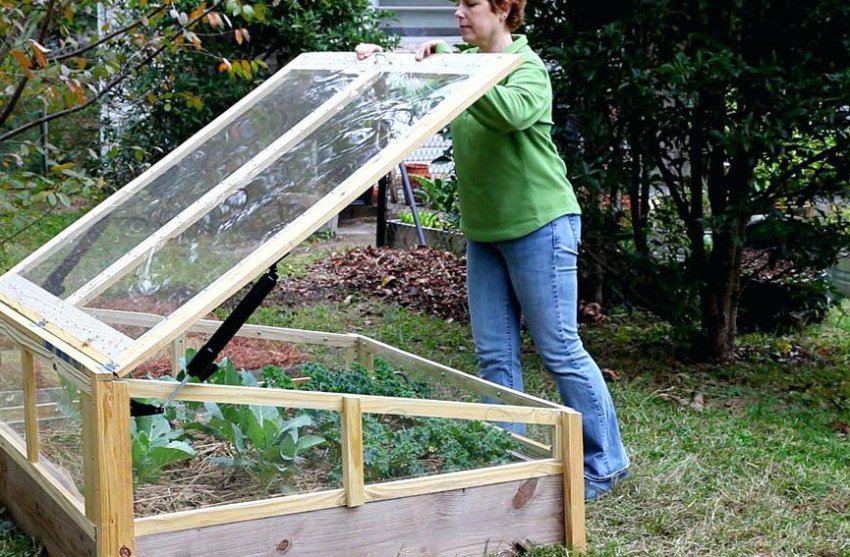 Міні теплиця з дерева і скла