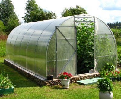 Обробка теплиці з полікарбонату від хвороб і шкідників навесні