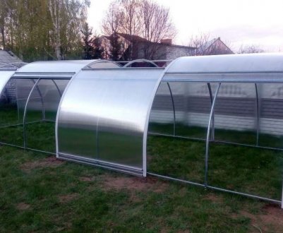  Особливості теплиці «Тюльпан» з відкривається дахом і боками