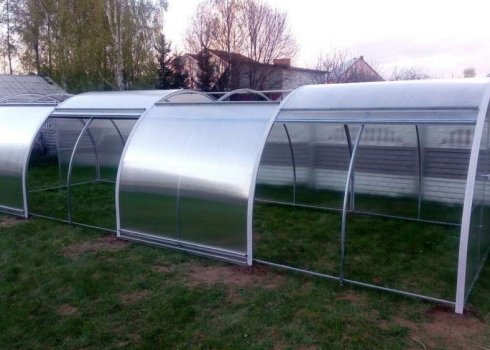 	Особенности теплицы «Тюльпан» с открывающейся крышей и боками