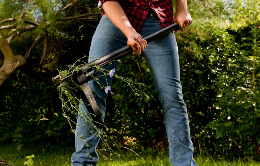 Видалення бур'янів Видалення бур'янів