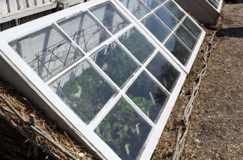 Наземний парник Наземний парник