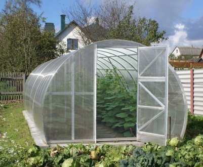 Як і чим обробити теплицю восени і підготувати її до зими
