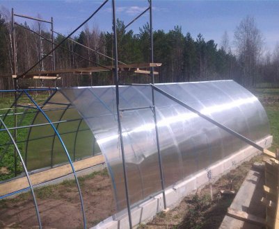 Вибір місця для установки теплиці на ділянці