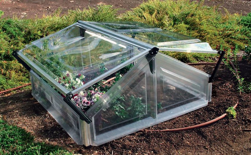 Французький наземний