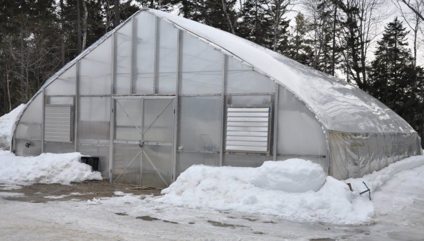 Зимова теплиця