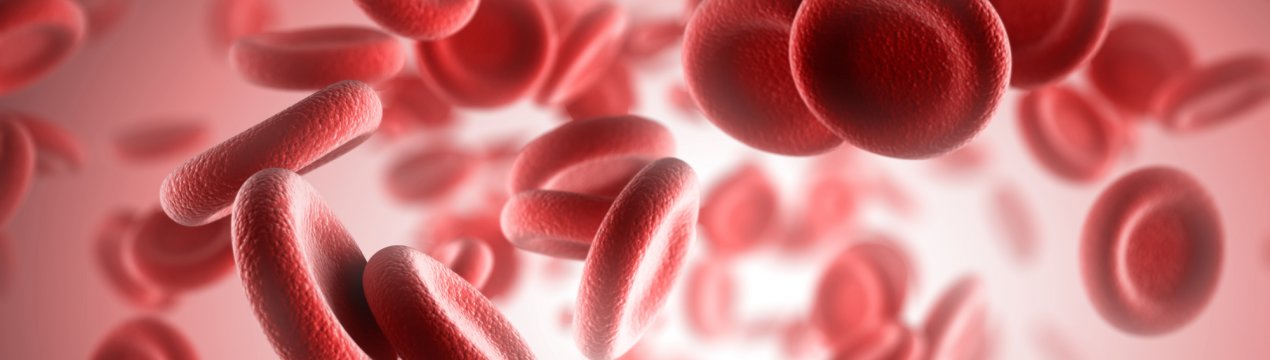 Перуанські горяни виростили на грядці ліки від анемії