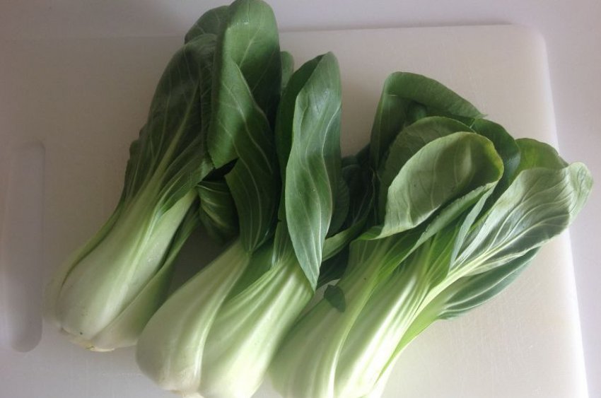 Королла Королла