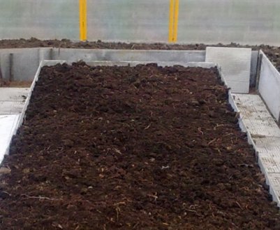 Як правильно підготувати ґрунт для теплиці