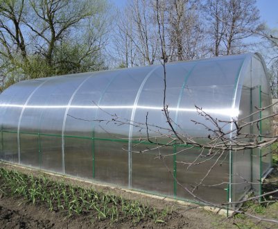  Саморобна теплиця з профільної труби і полікарбонату