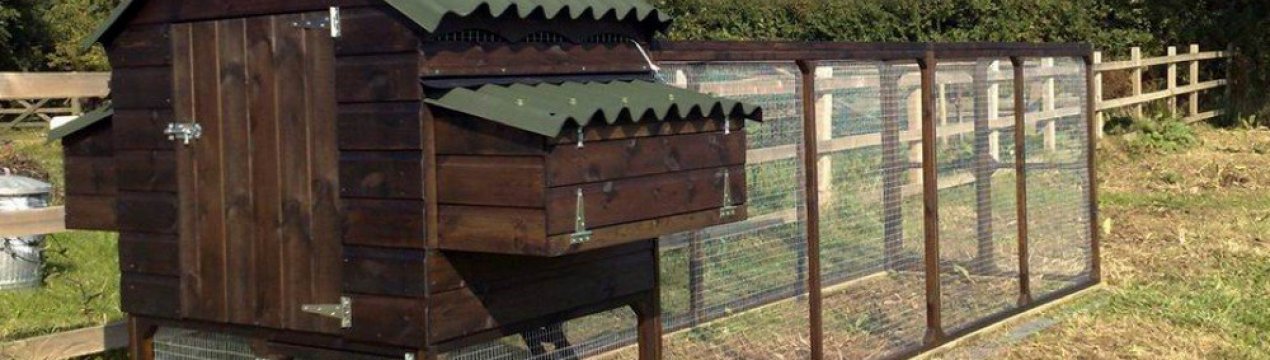 Як побудувати курник своїми руками на 10 курей