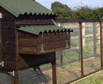 Як побудувати курник своїми руками на 10 курей