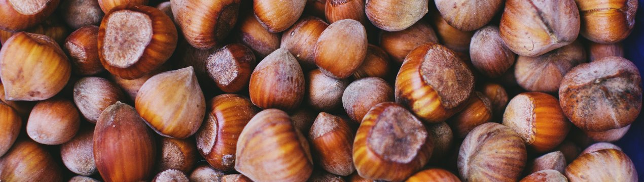 Мармуровий клоп влаштував справжній геноцид сочинському фундуку