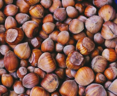 Мармуровий клоп влаштував справжній геноцид сочинському фундуку