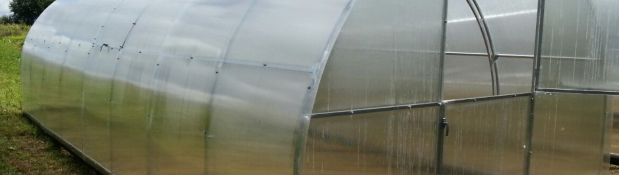 Особливості «Кремлівських» теплиць з полікарбонату