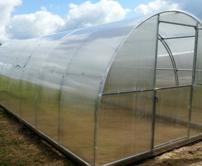 Особливості «Кремлівських» теплиць з полікарбонату