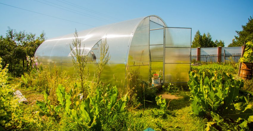 «Кремлівська – Богатир»