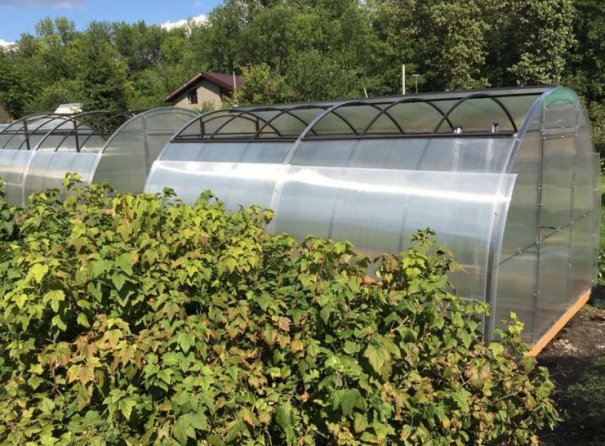 «Кремлівська» з розсувним дахом