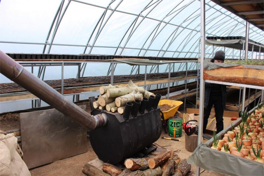 Пічної обігрів Пічної обігрів