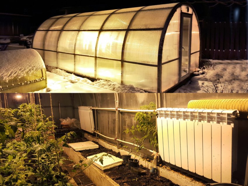 Електрична Електрична