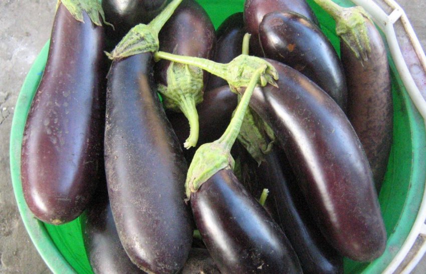 Алмаз Алмаз