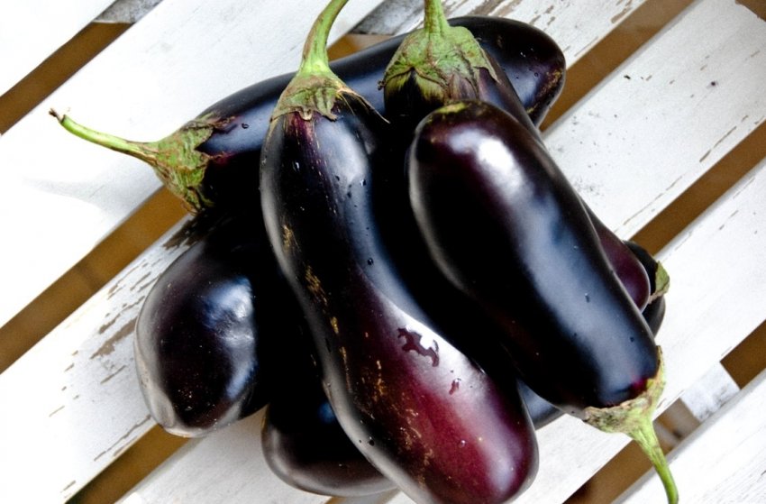 Фіолетове чудо Фіолетове чудо