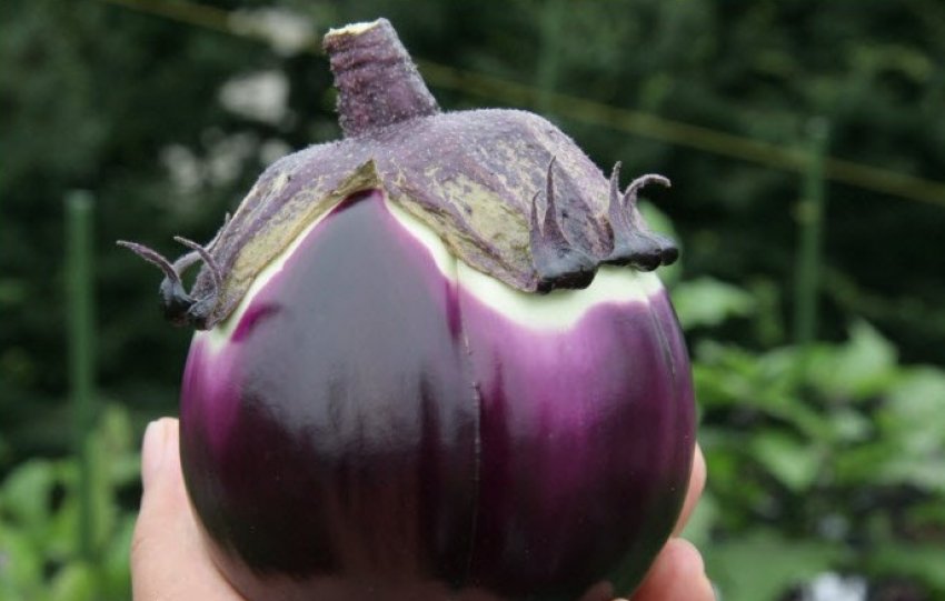 Чорна місяць Чорна місяць