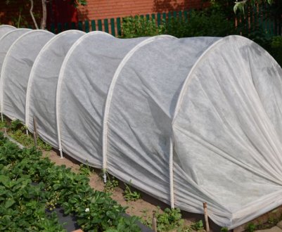 Як вибрати парник «Пролісок» («БашАгроПласт») або зробити своїми руками