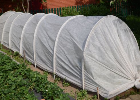 Як вибрати парник «Пролісок» («БашАгроПласт») або зробити своїми руками