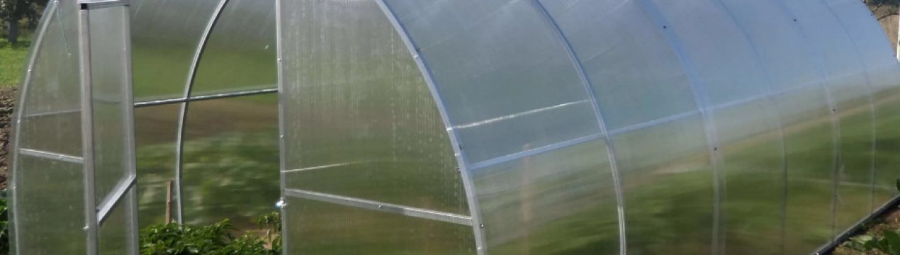 Як вибрати кращу теплицю «Синьйор Помідор»?