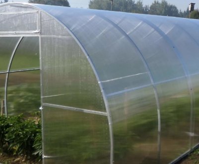 Як вибрати кращу теплицю «Синьйор Помідор»?