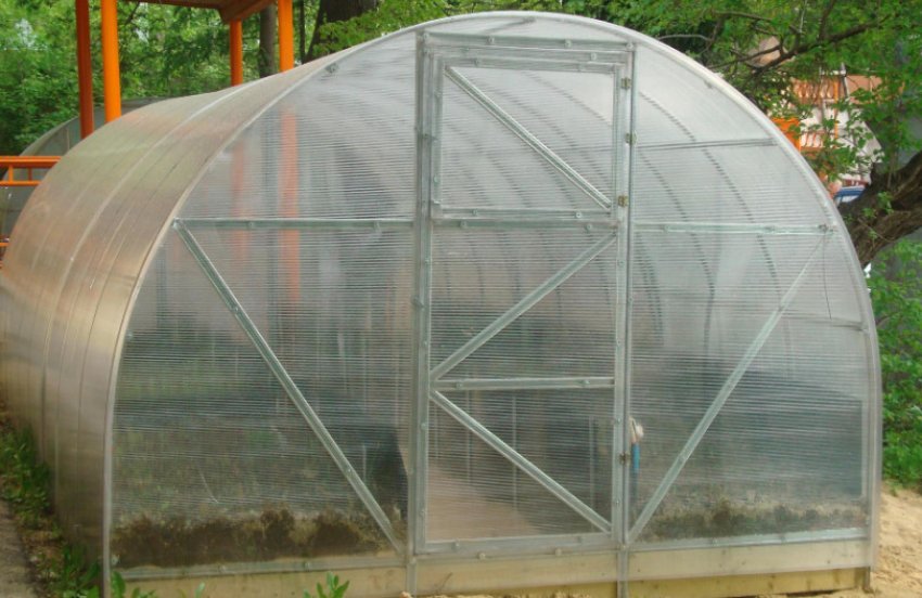 Теплиця Синьйор Помідор Теплиця Синьйор Помідор