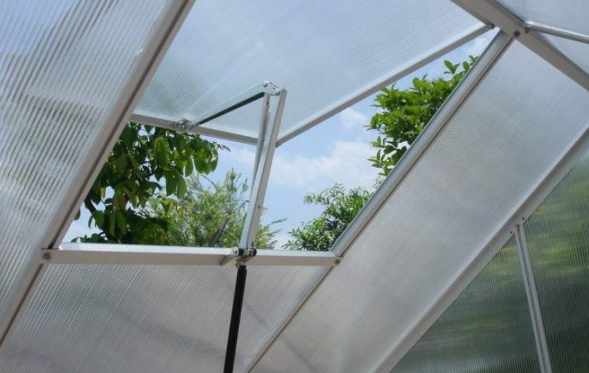 Теплиця Синьйор Помідор Теплиця Синьйор Помідор