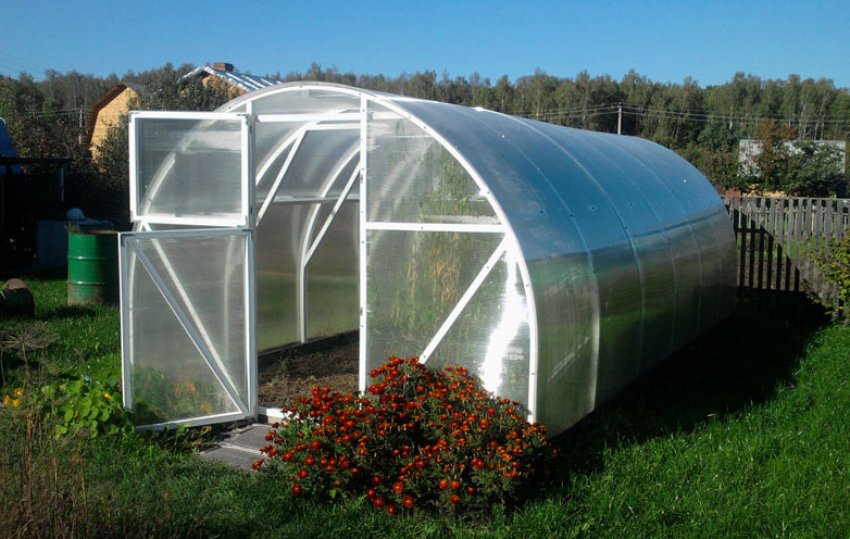 Теплиця Синьйор Помідор Теплиця Синьйор Помідор