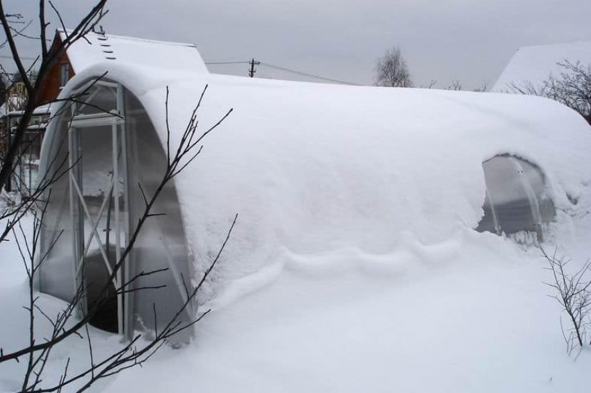 Теплиця Синьйор Помідор взимку Теплиця Синьйор Помідор взимку