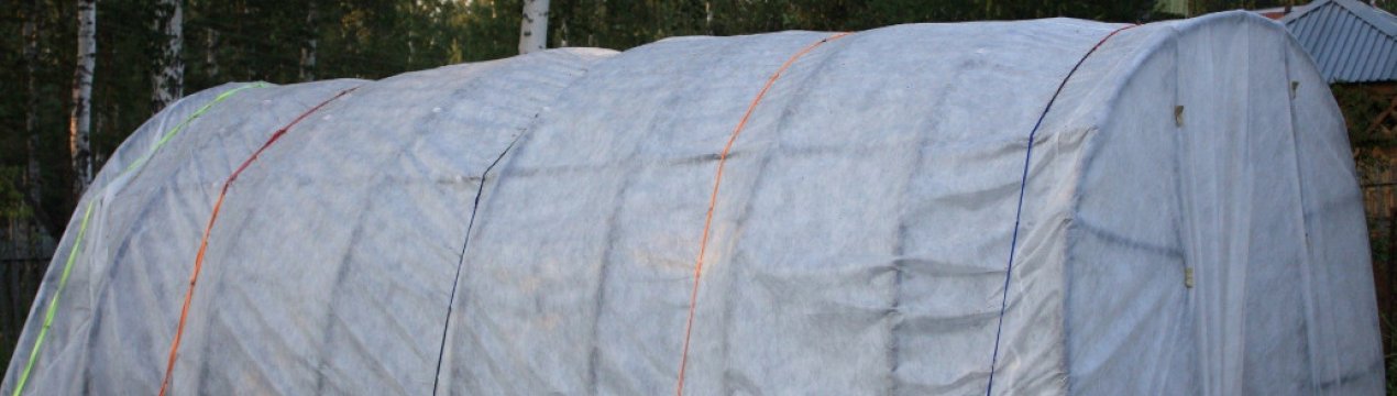Який укривний матеріал краще всього для теплиць і парників?
