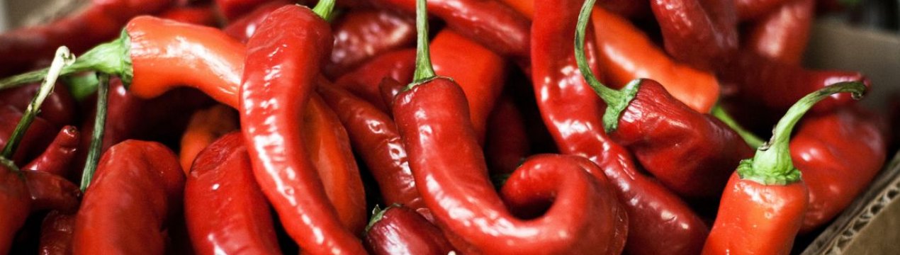 Червоний перець: користь і шкода, калорійність та особливості застосування