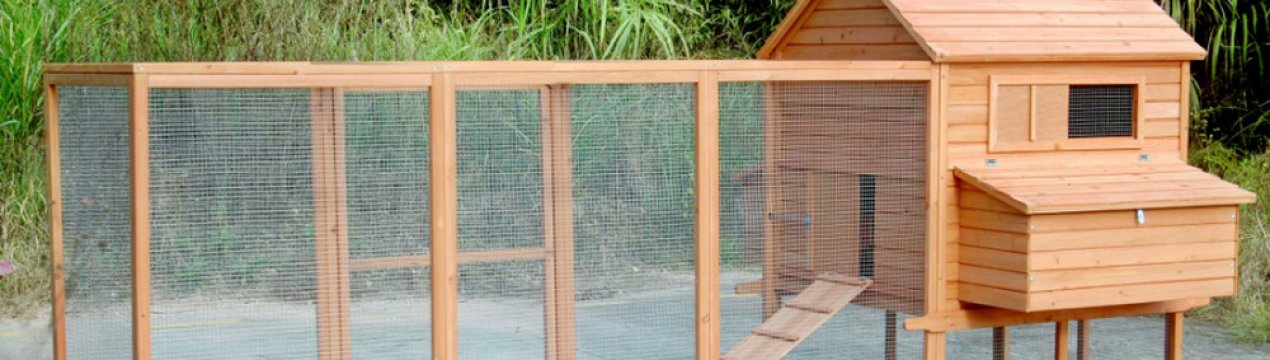 Як побудувати курник своїми руками на дачі